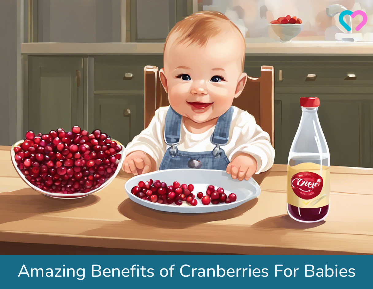 Cranberries For Babies_illustration