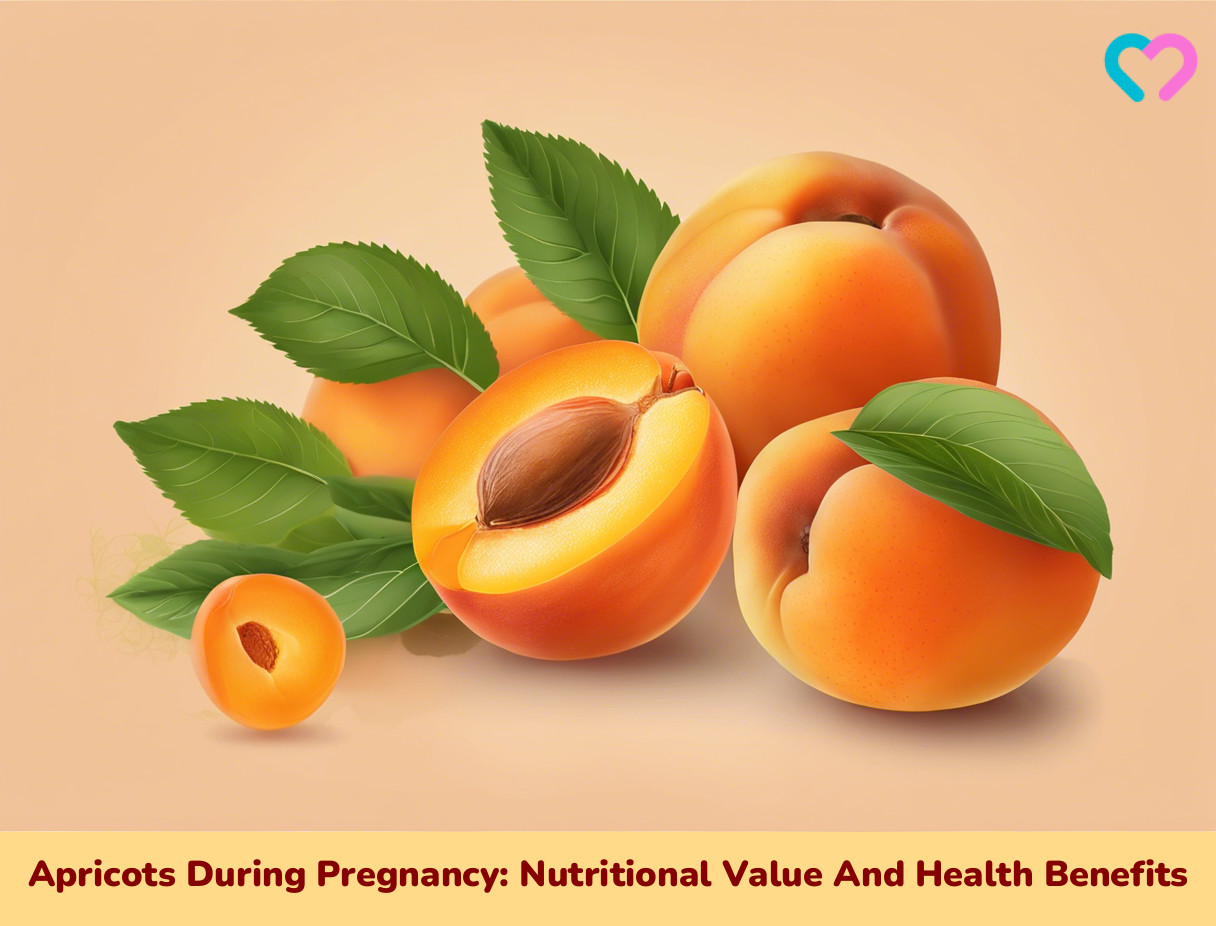 apricot during pregnancy_illustration