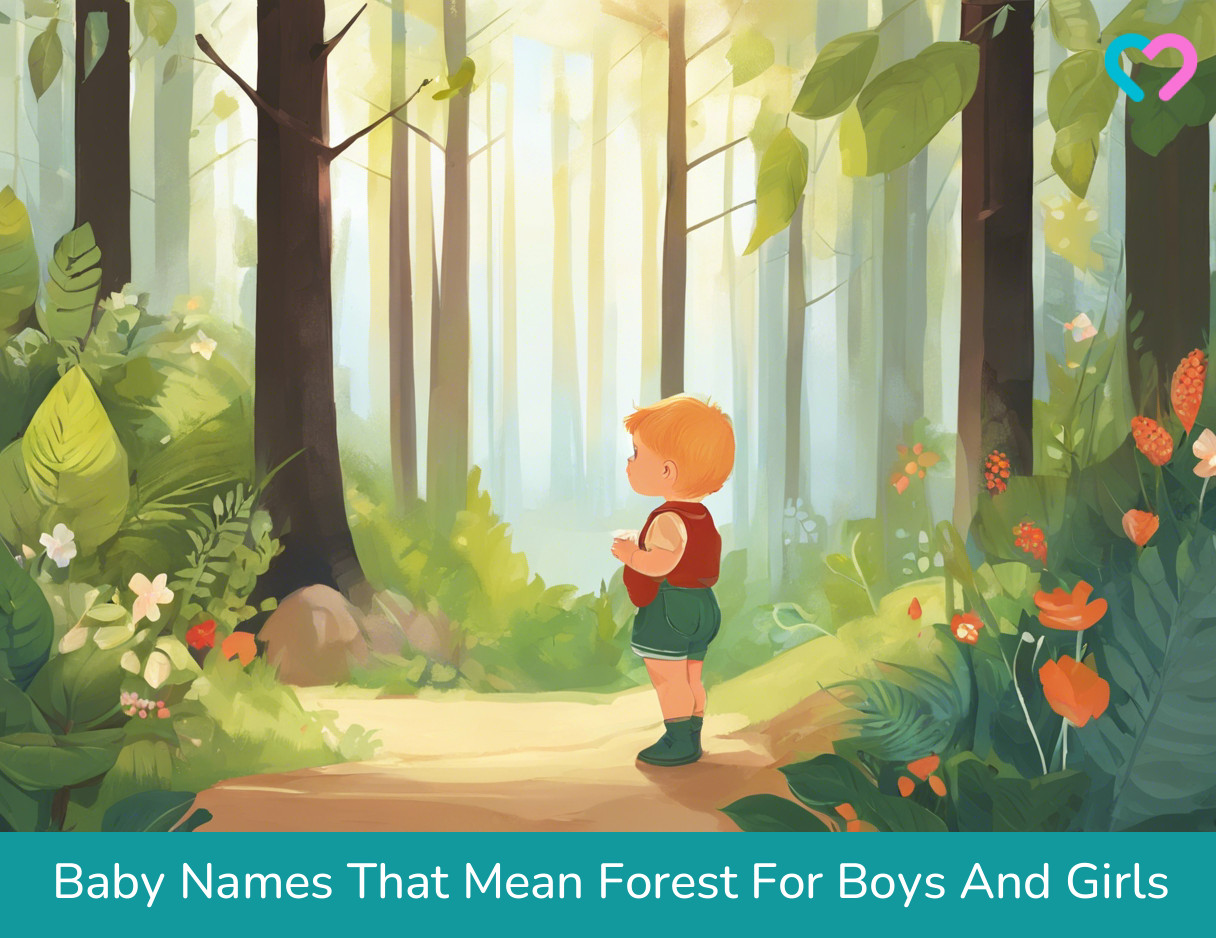 names that mean forest_illustration