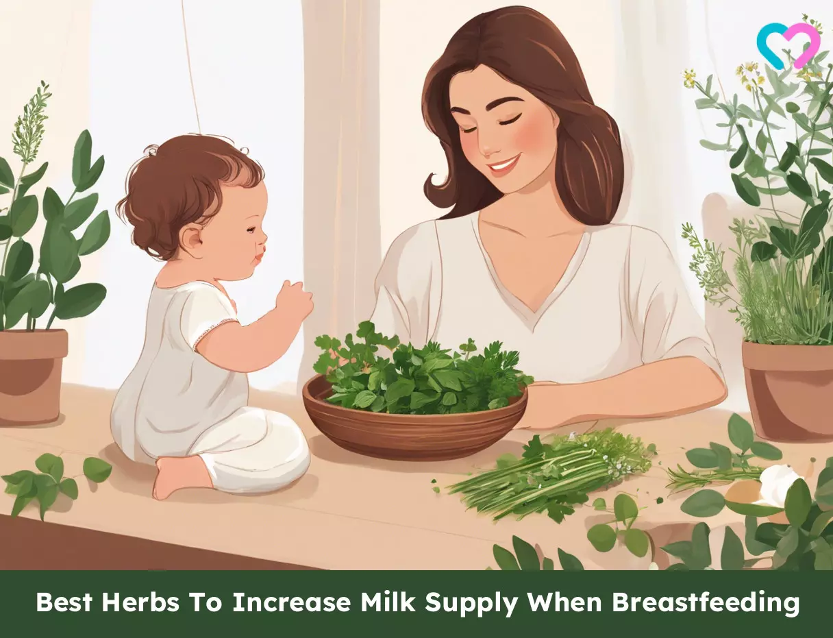 herbs for breastfeeding_illustration