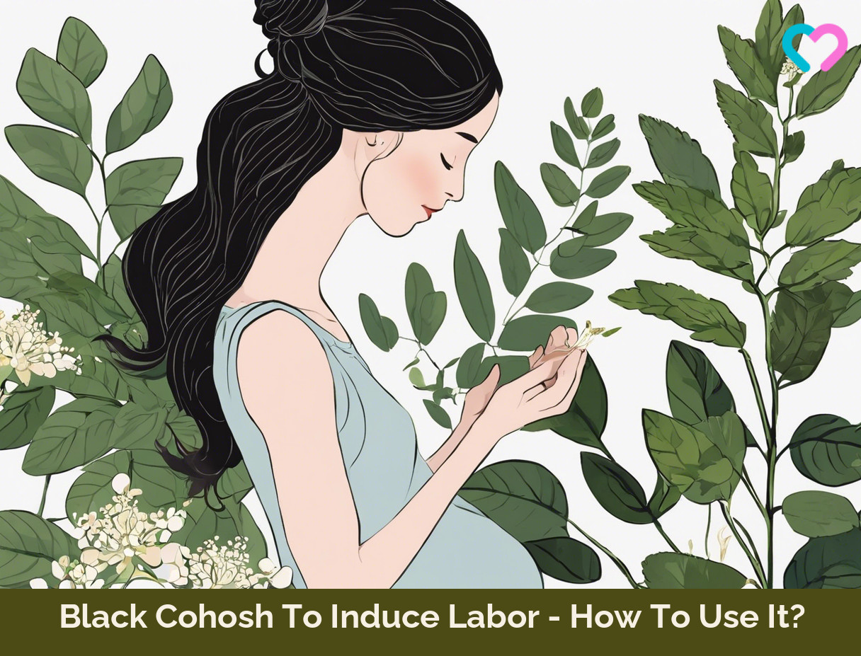 black cohosh to induce labor_illustration