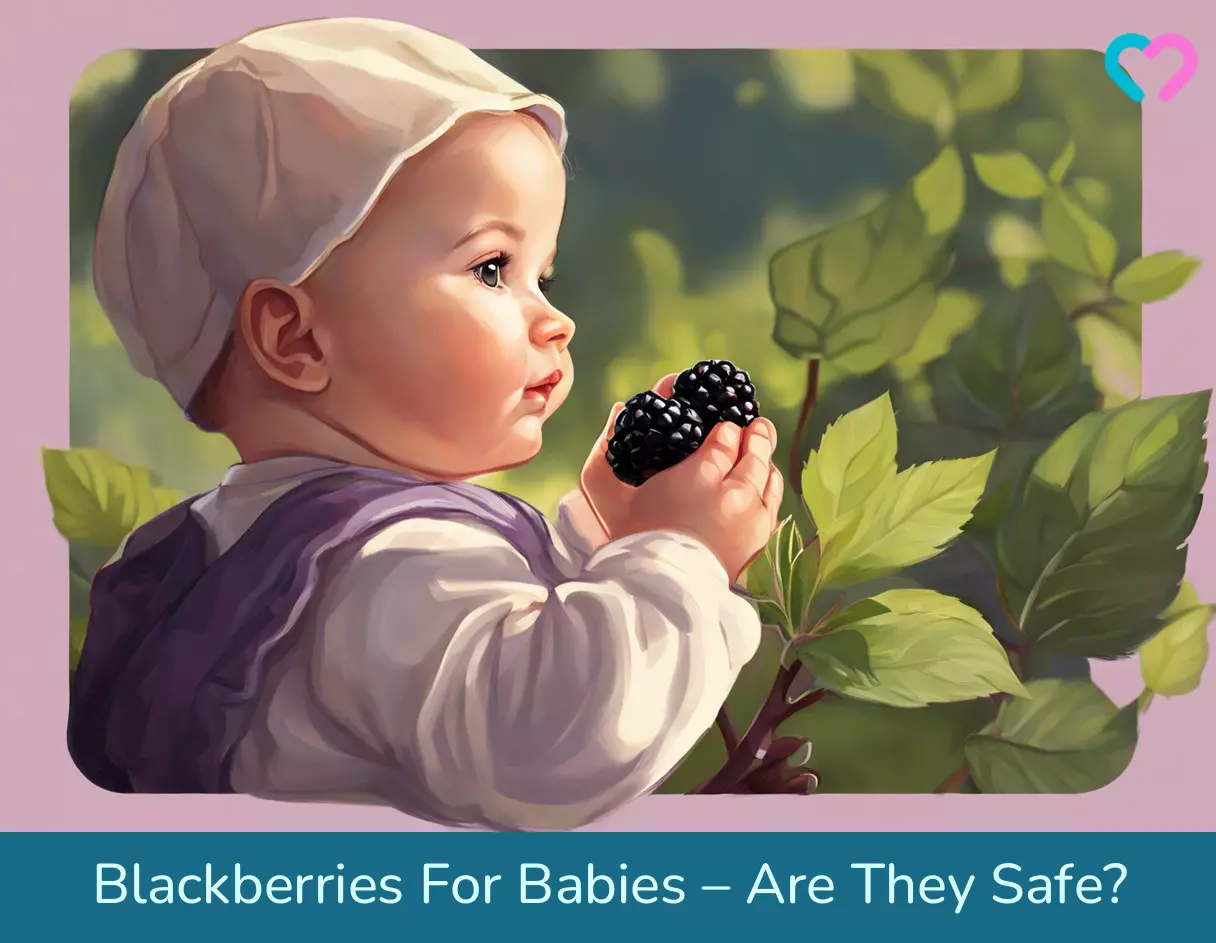 Blackberries for Babies_illustration