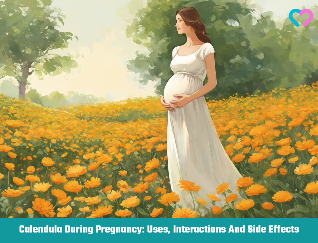 calendula during pregnancy_illustration