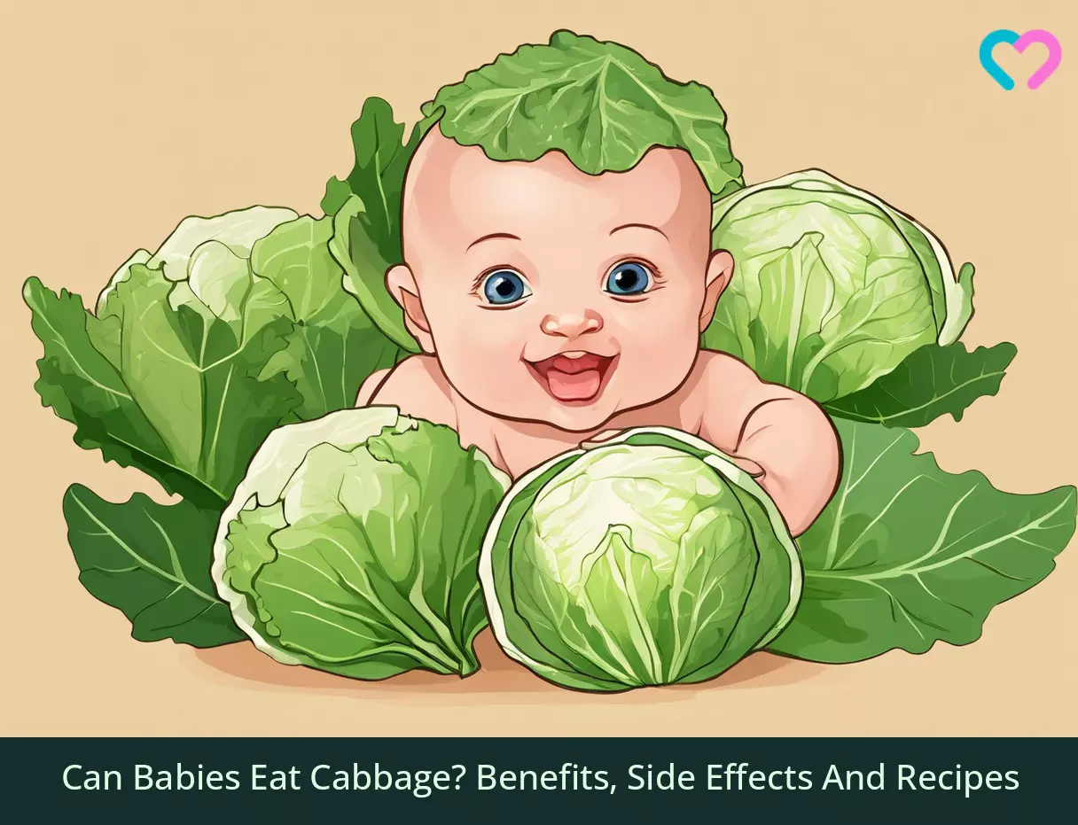 cabbage for babies_illustration