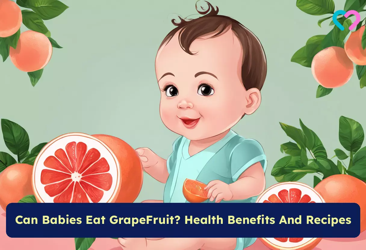Grapefruit For Infants_illustration