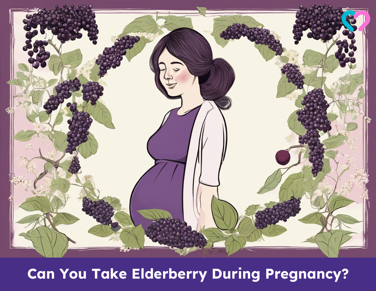 Elderberry While Pregnant_illustration