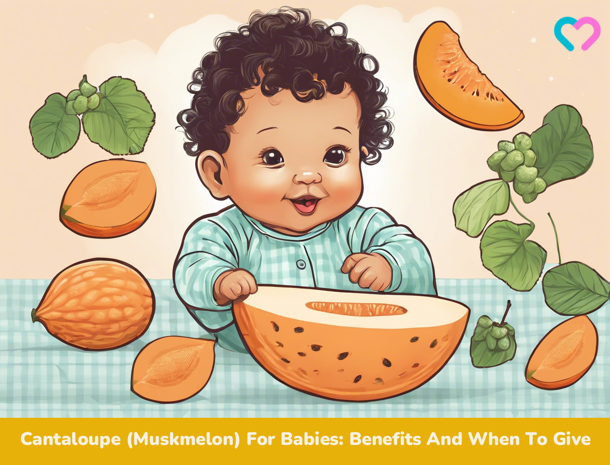Cantaloupe for Babies_illustration