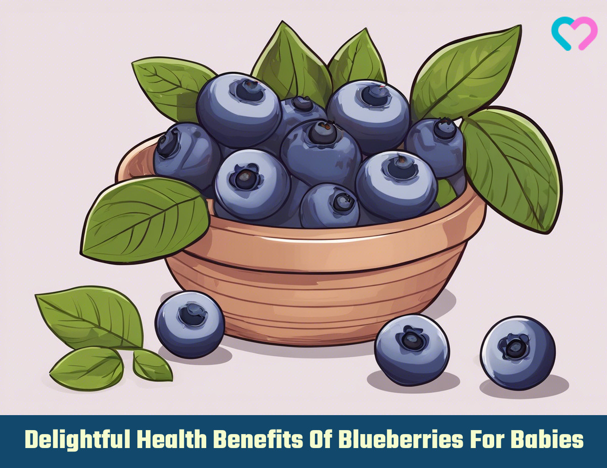 Blueberries For Babies_illustration