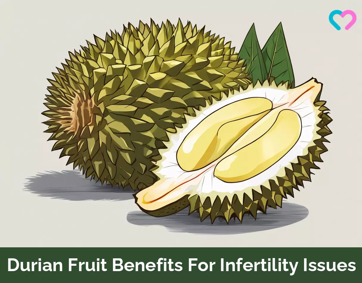 Durian Fruit For Infertility_illustration