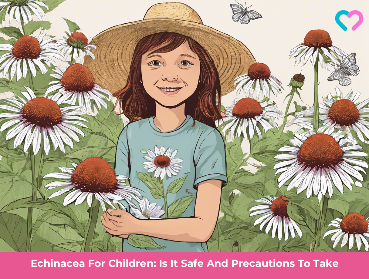 Echinacea For Kids_illustration