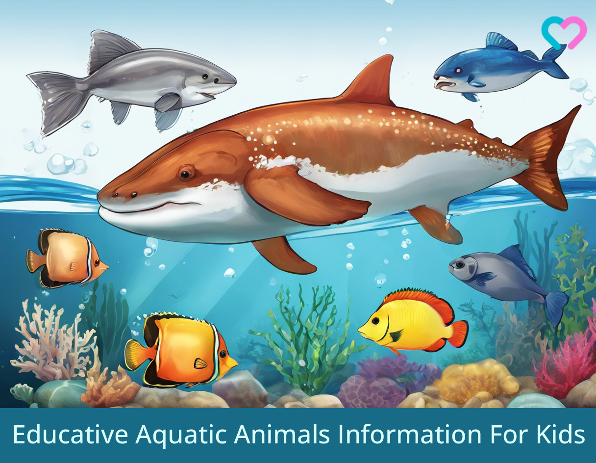 Water Animal Information For Kids_illustration