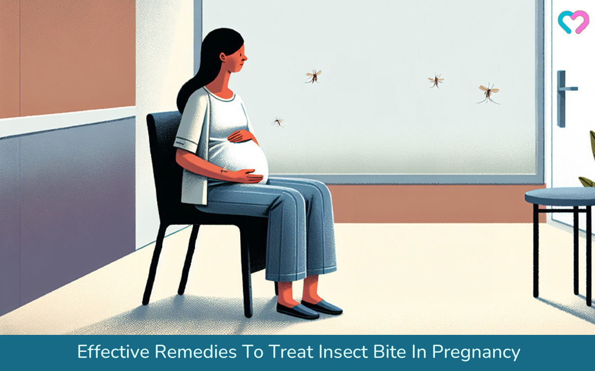 Insect Bites During Pregnancy_illustration