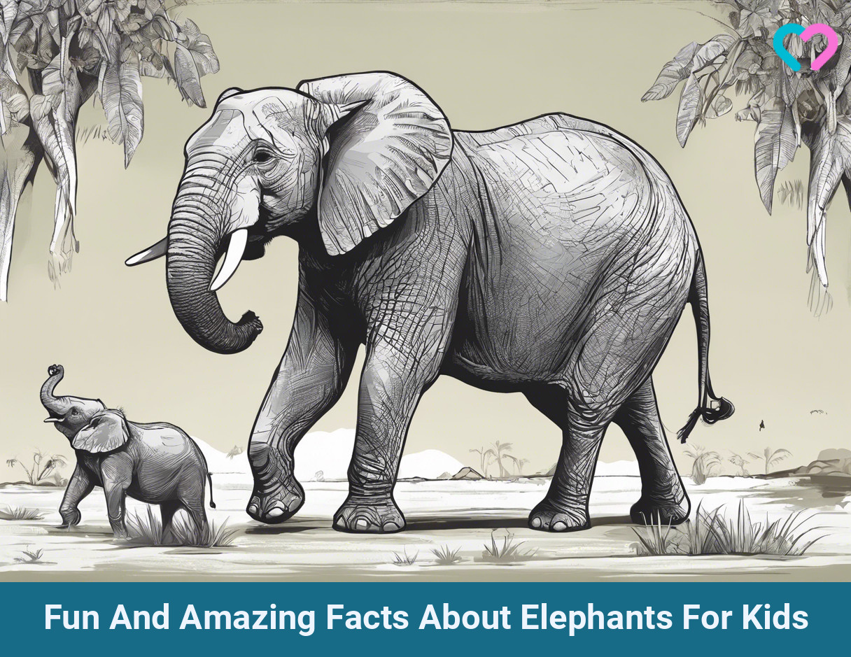 Facts About Elephants For Kids_illustration
