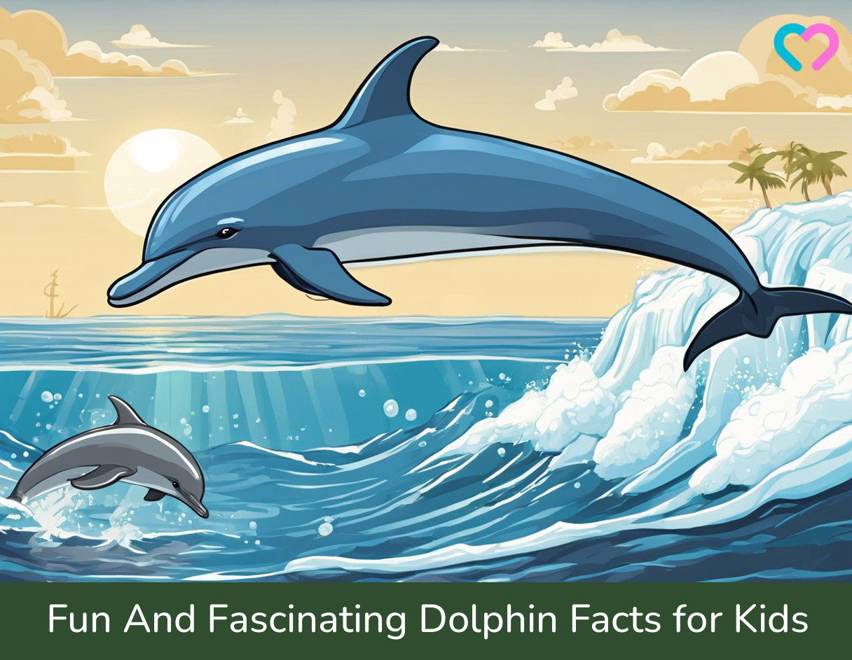 Dolphin Facts For Kids_illustration