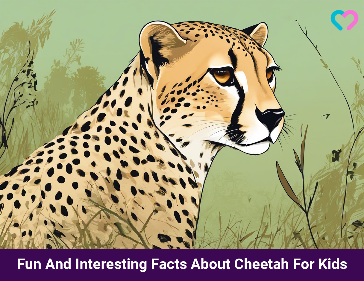 Facts About Cheetah For Kids_illustration