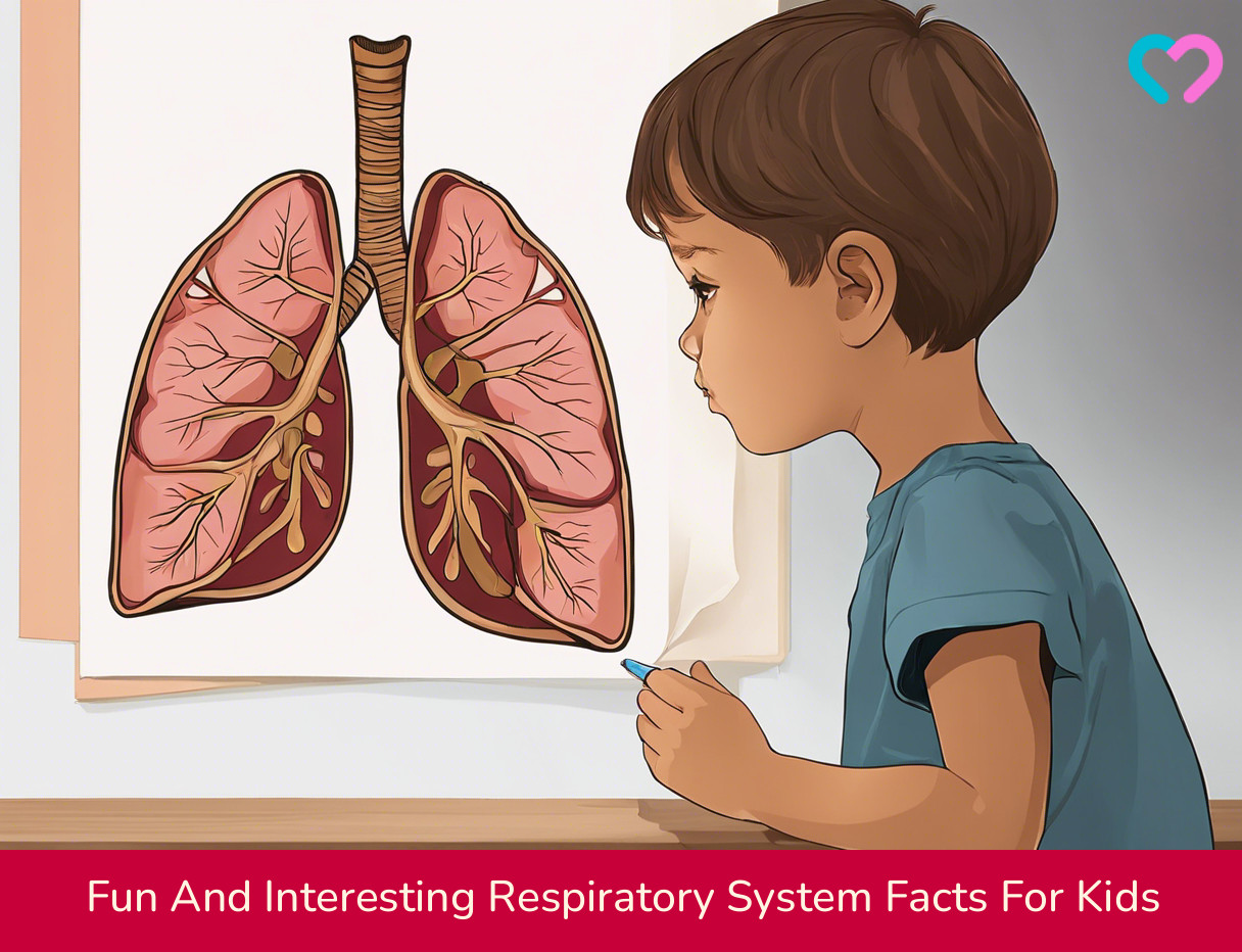 Respiratory System For Kids_illustration