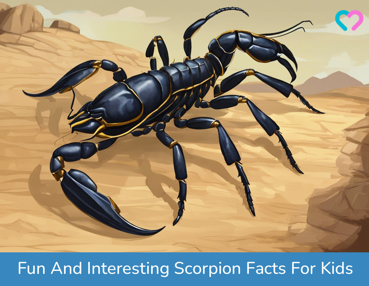 Scorpion Facts For Kids_illustration