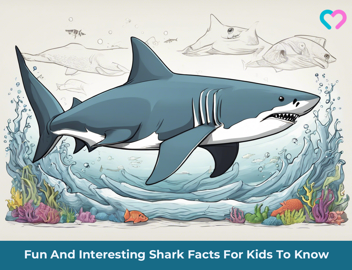 Shark facts for kids_illustration