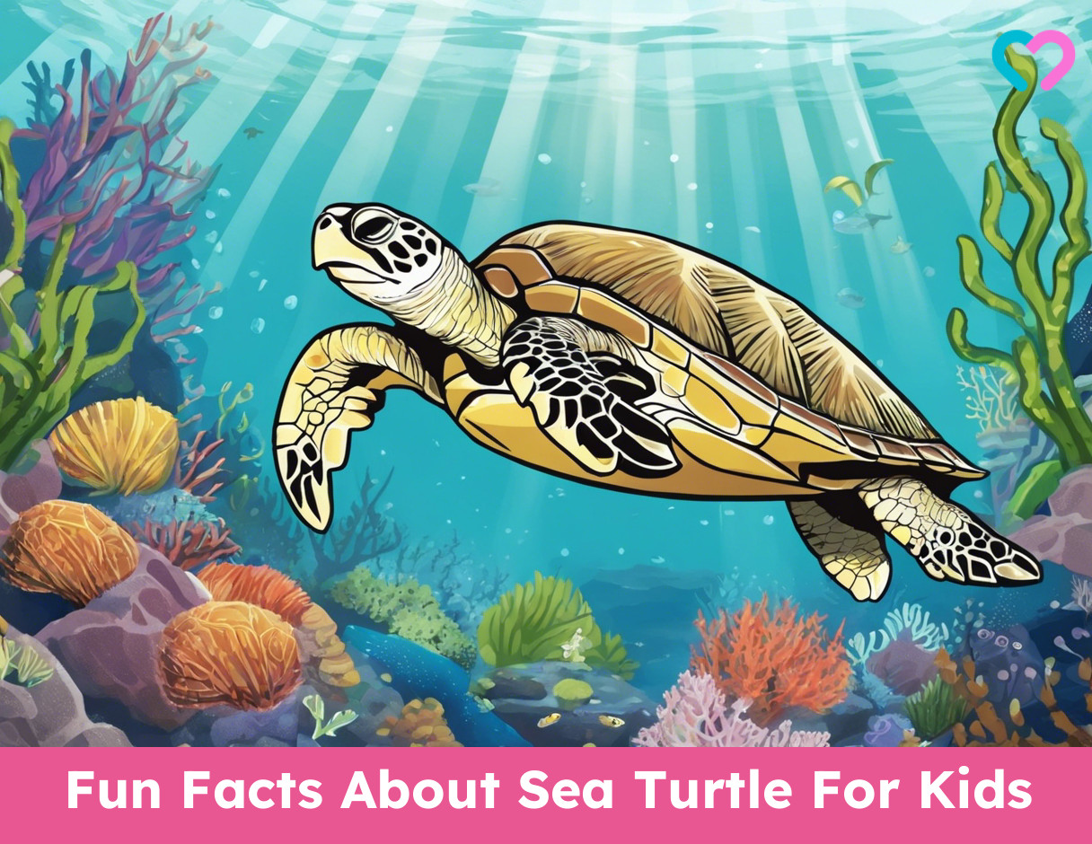 Facts About Sea Turtle For Kids_illustration