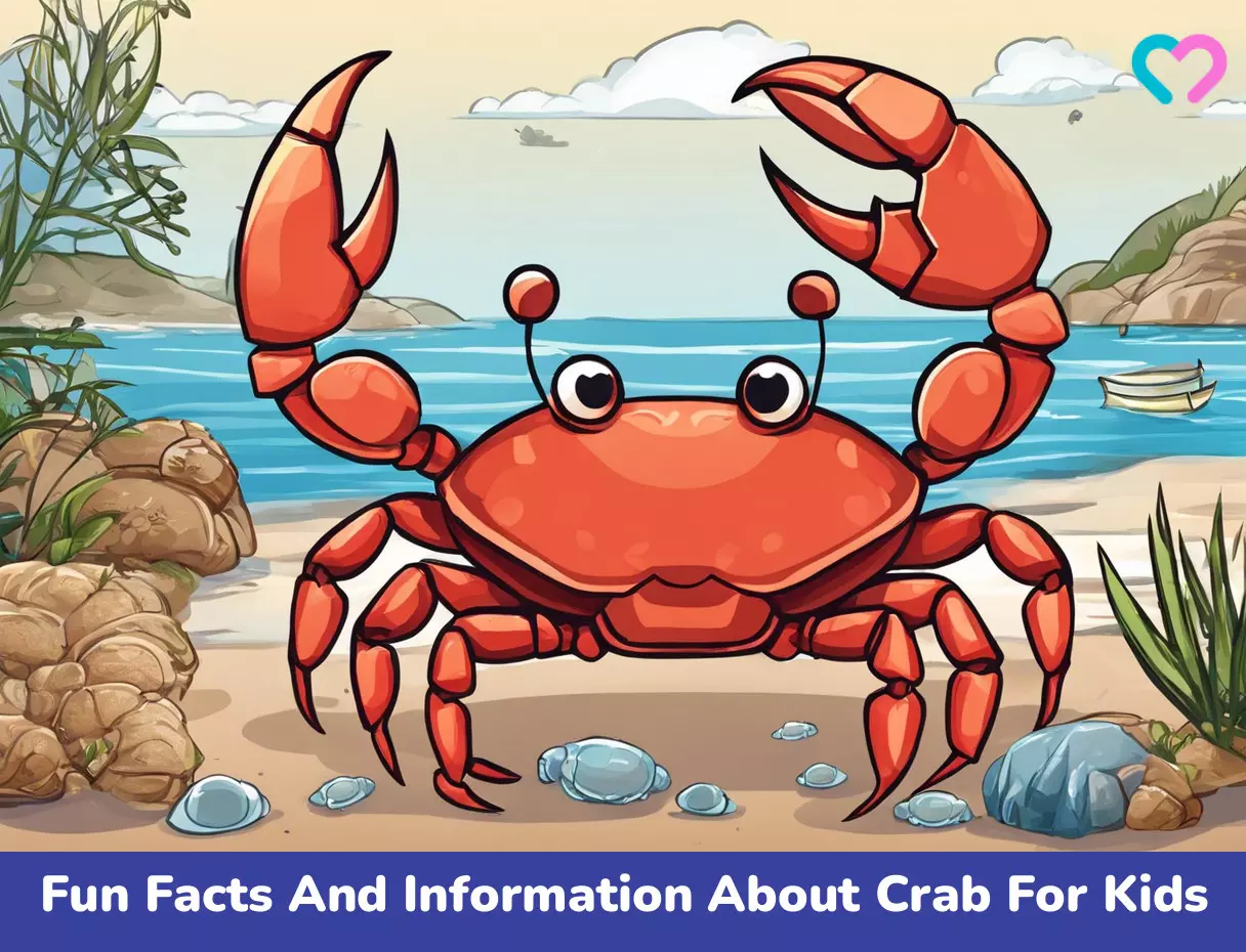 24 Fun Facts And Information About Crab For Kids