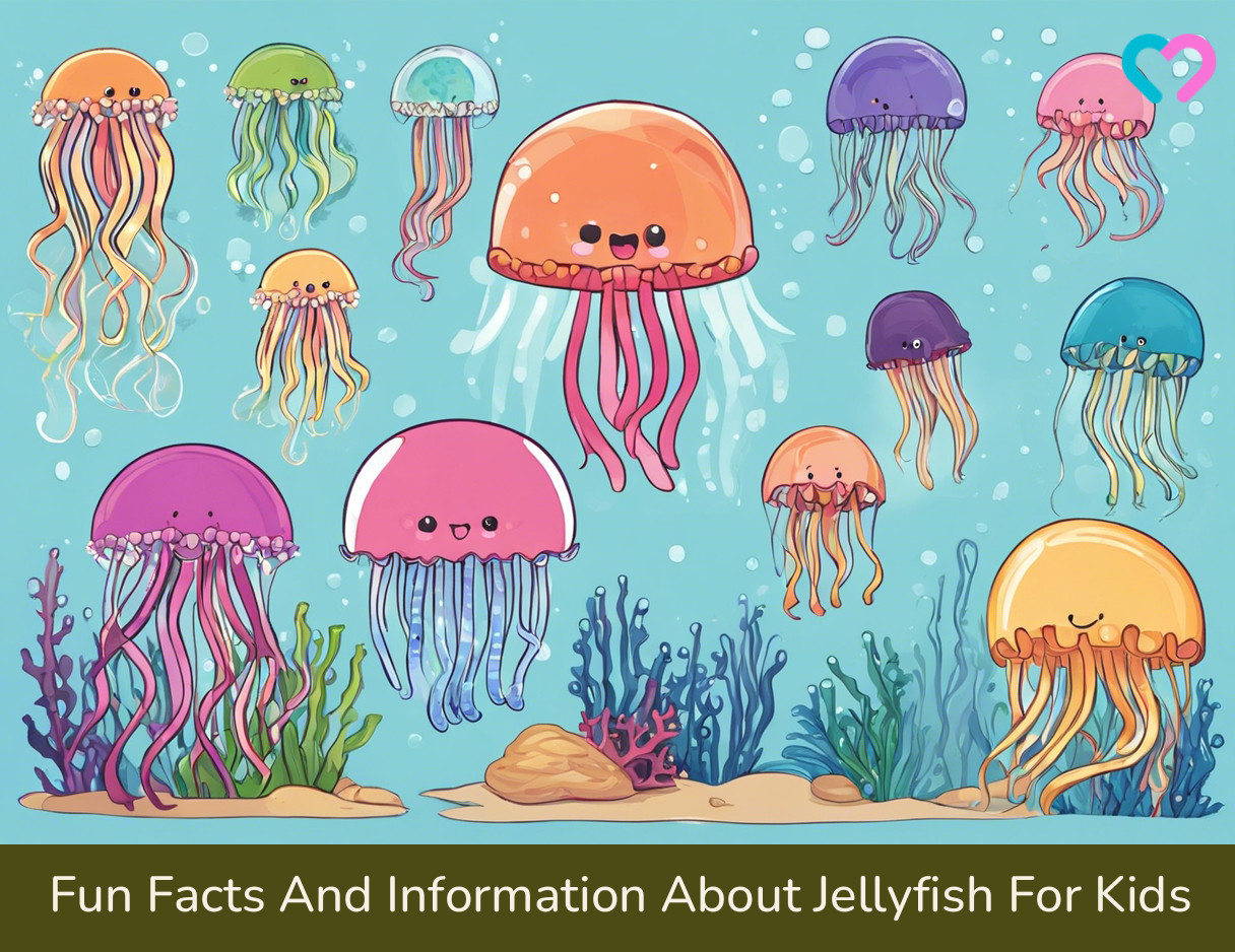 Facts About Jellyfish For Kids_illustration
