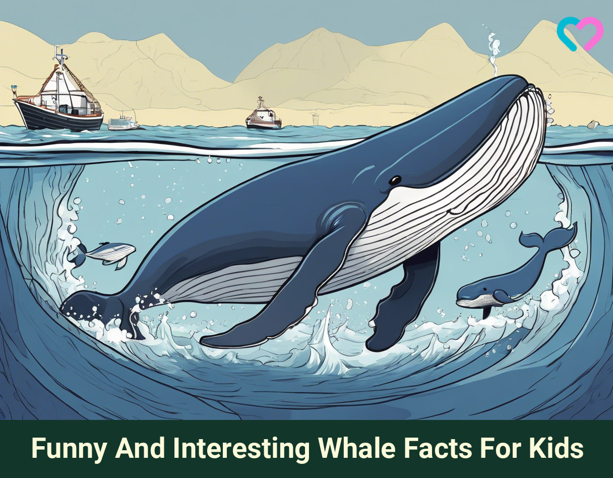 Whale Facts For Kids_illustration