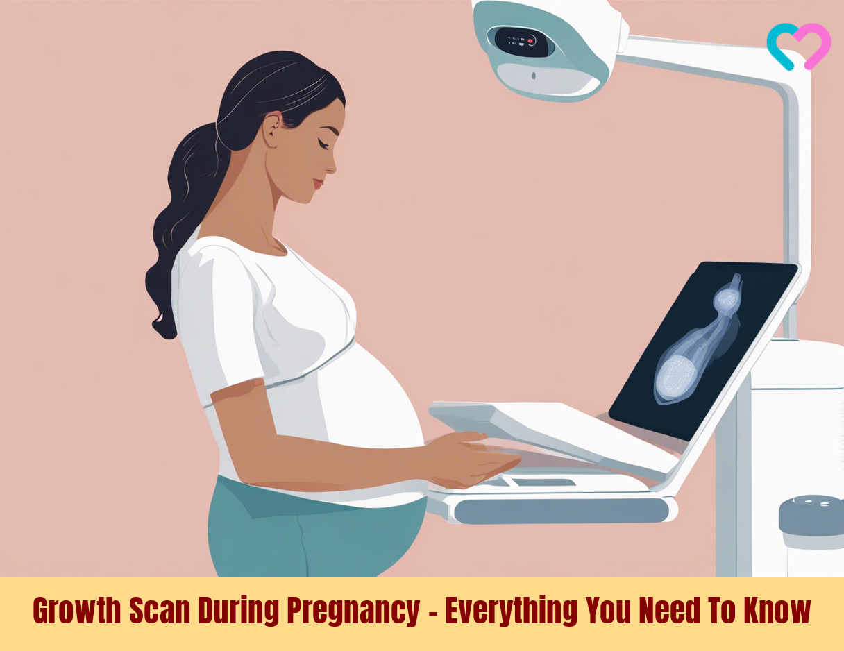 Growth Scan During Pregnancy_illustration