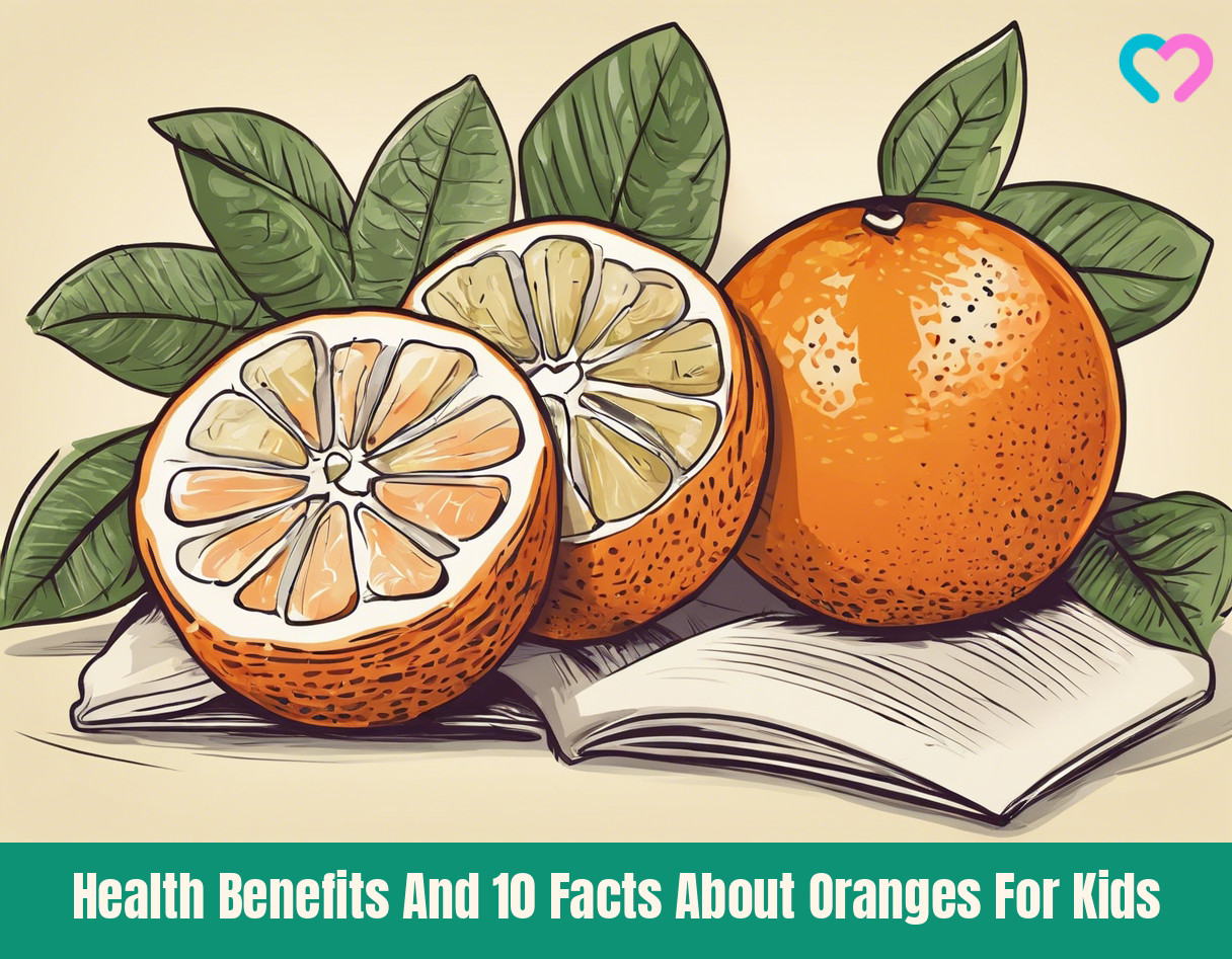 Facts About Oranges For Kids_illustration