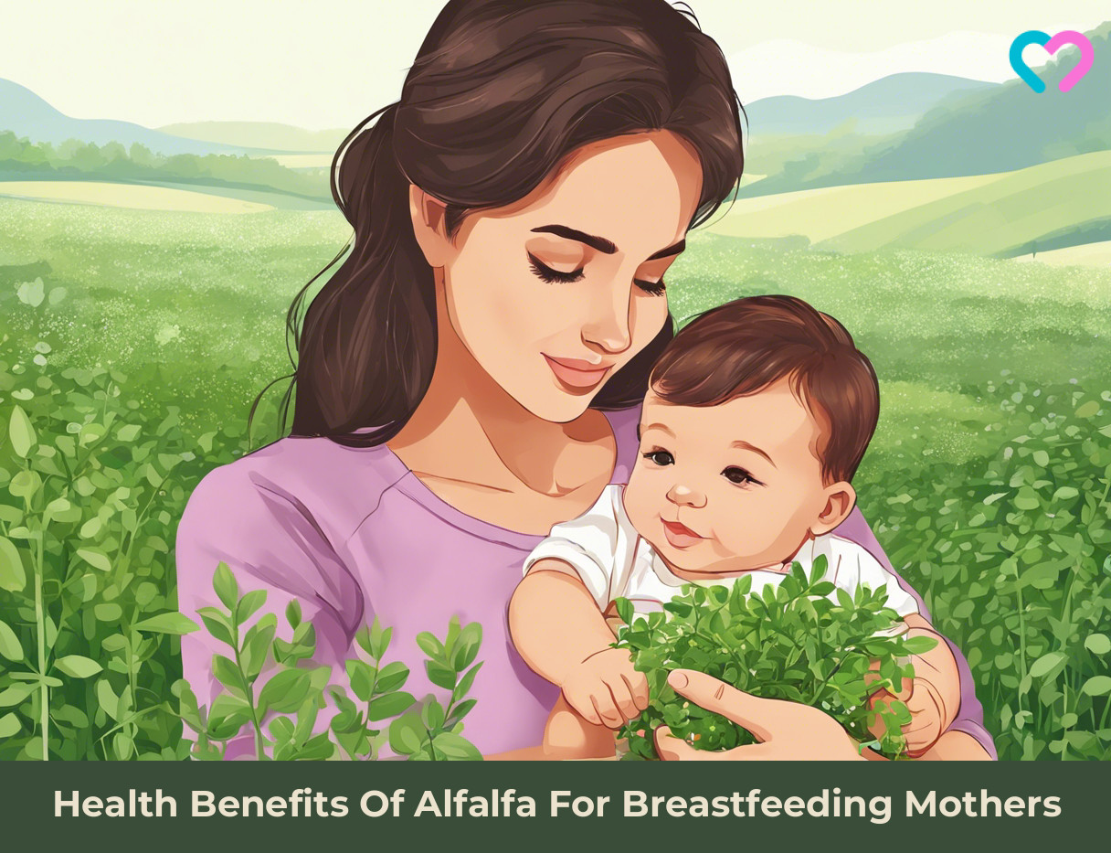 Alfalfa During Breastfeeding_illustration