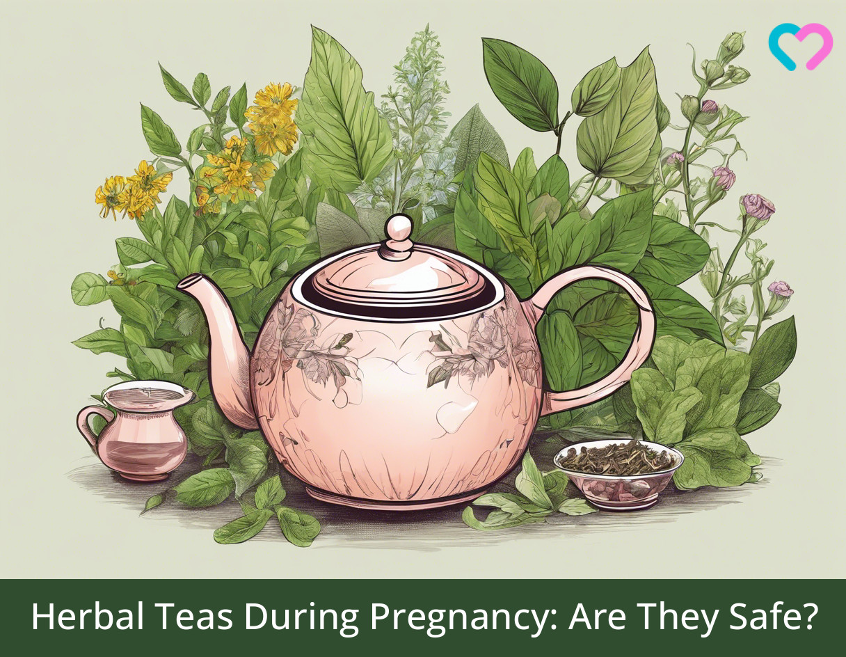 Herbal Teas During Pregnancy_illustration