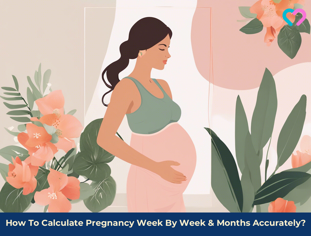 pregnancy calculator week by week_illustration