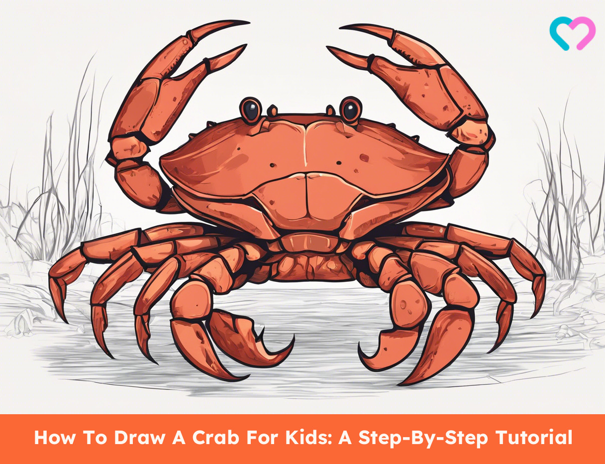 How To Draw A Crab_illustration