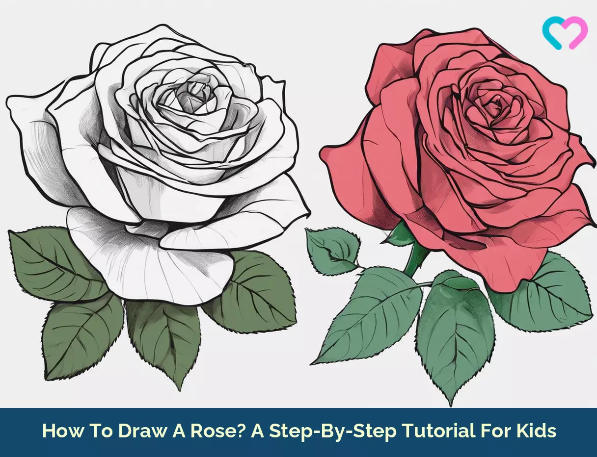 how to draw a rose_illustration