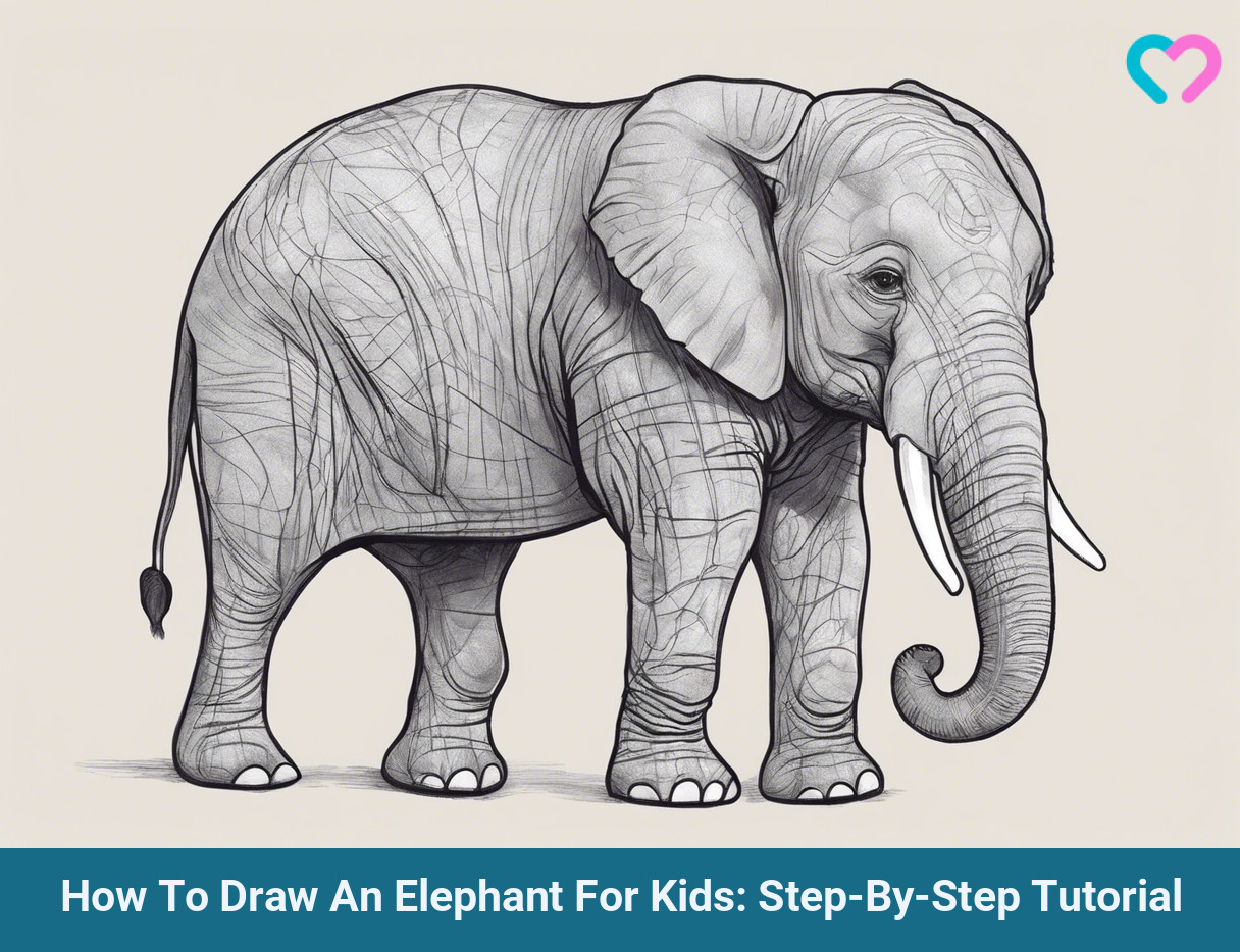 How To Draw An Elephant For Kids_illustration