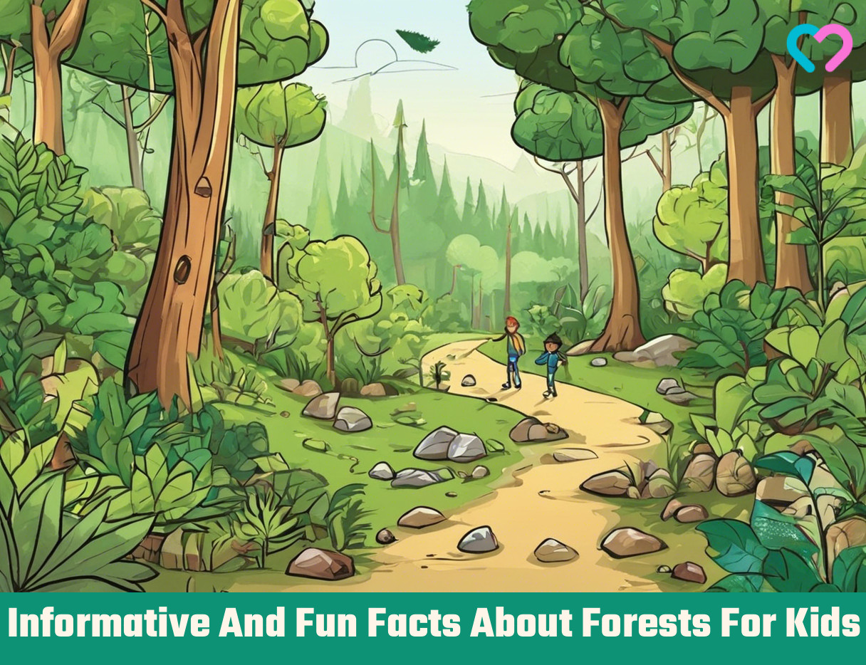Forests For Kids_illustration
