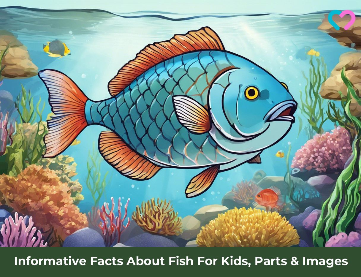 Facts About Fish For Kids_illustration