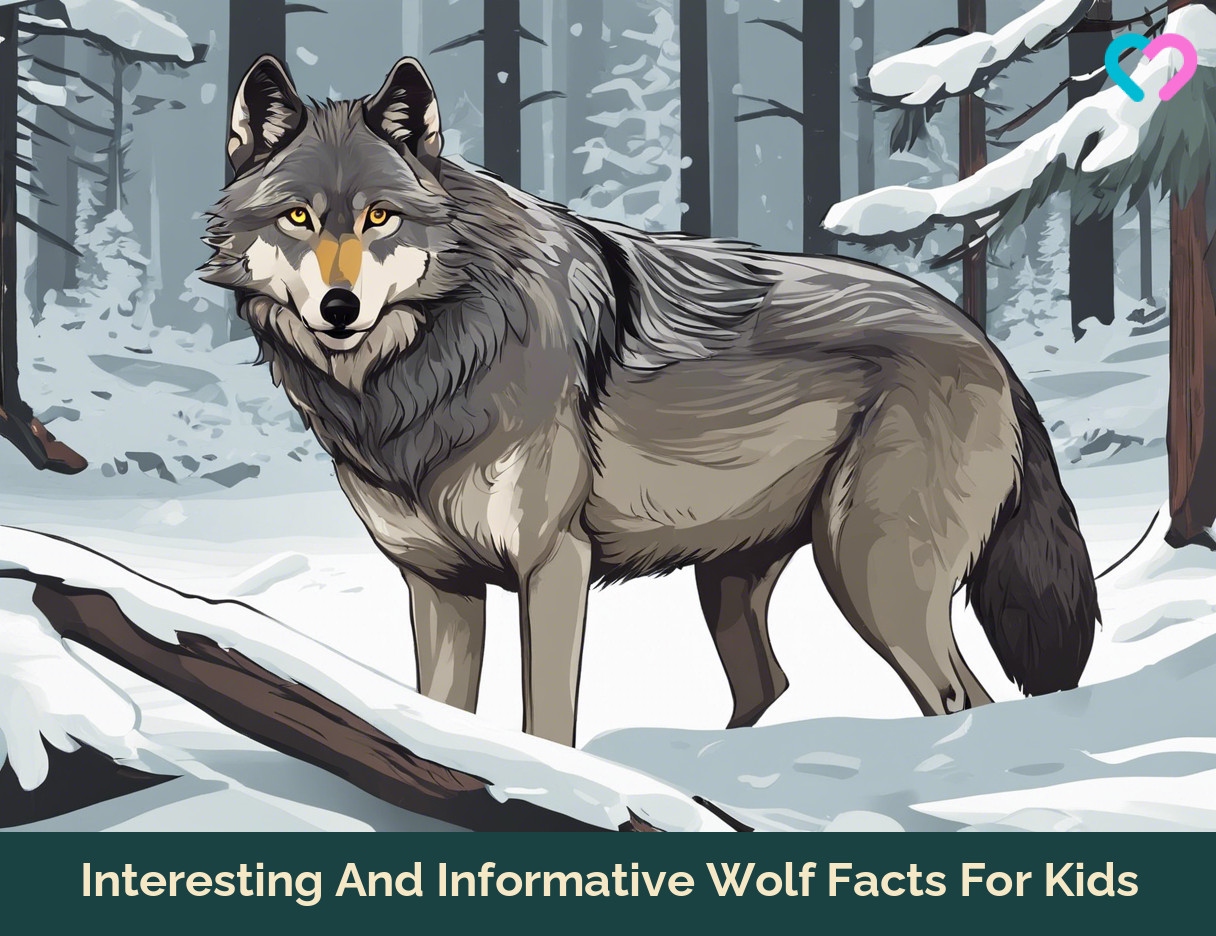 Wolf Facts For Kids_illustration