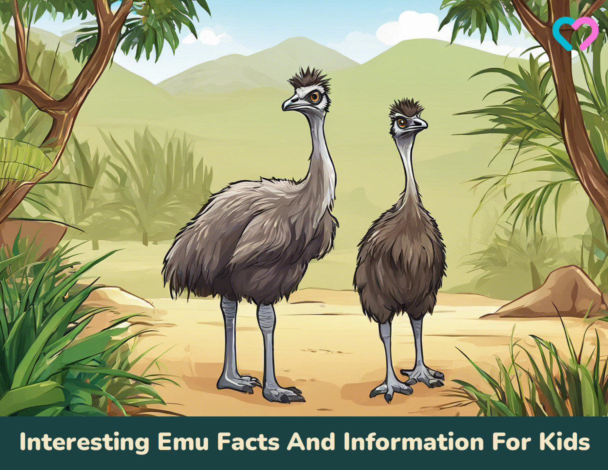Emu Facts For Kids_illustration