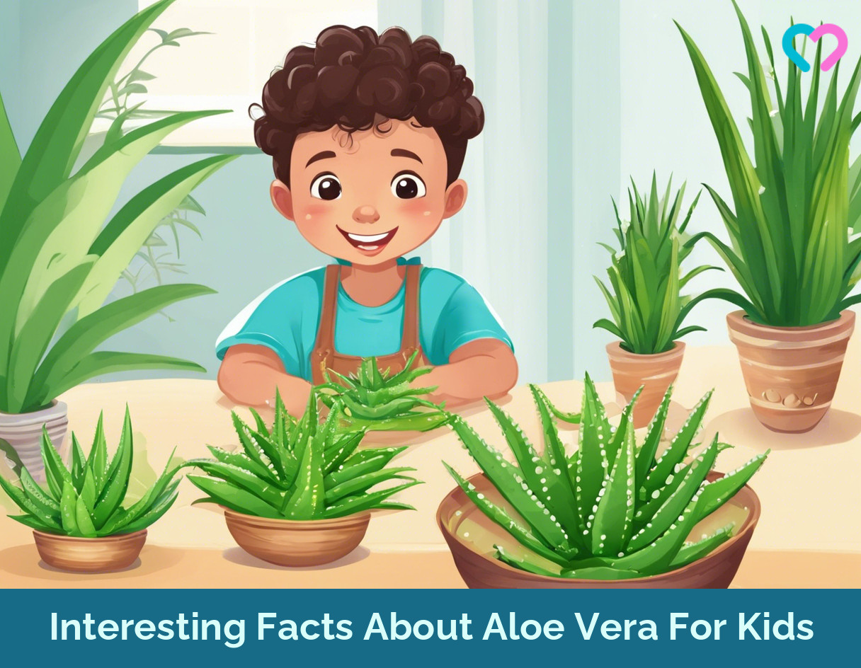 Facts About Aloe Vera For Kids_illustration