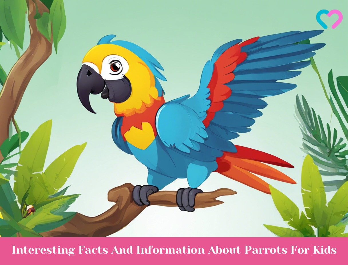 Parrot For Kids_illustration