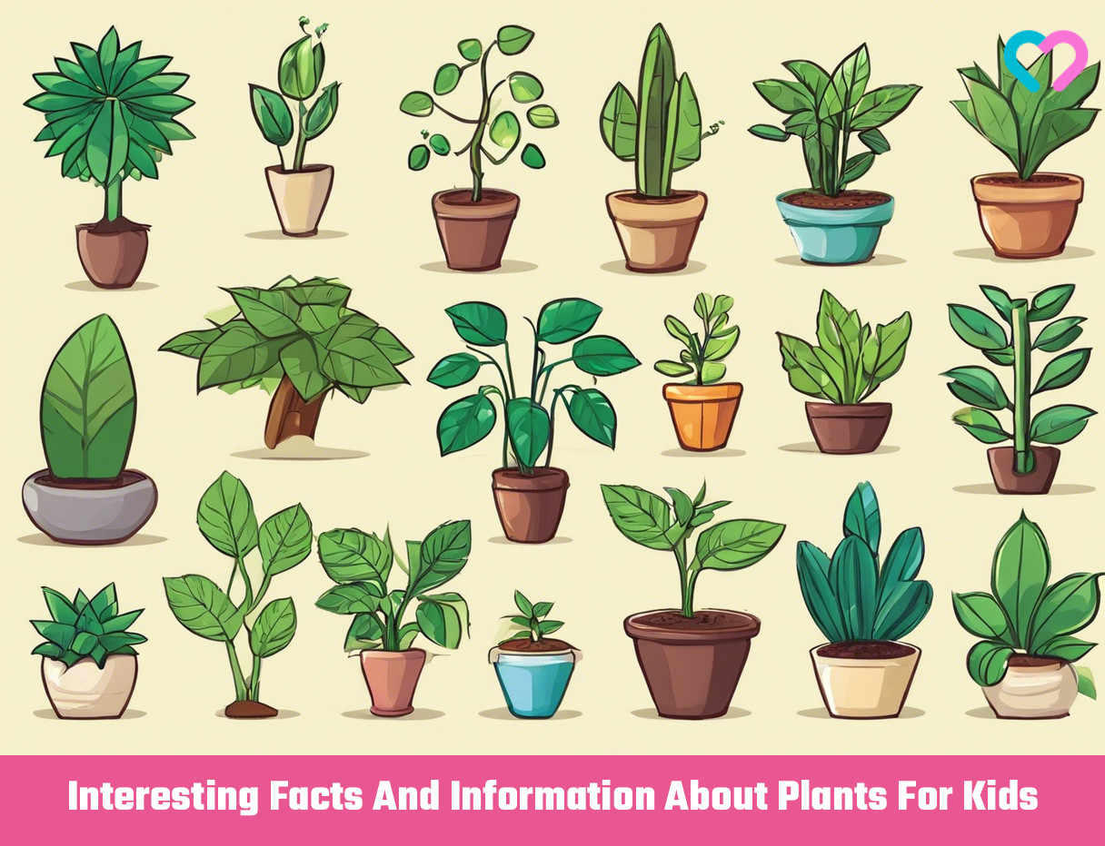 Facts About Plants For Kids_illustration