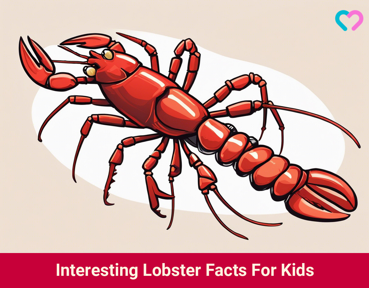 Lobster Facts For Kids_illustration