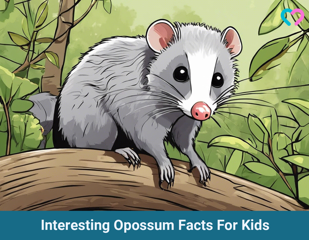Opossum Facts For Kids_illustration