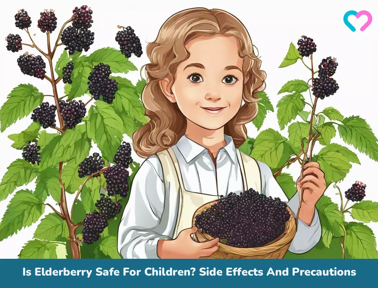 Elderberry For Kids_illustration