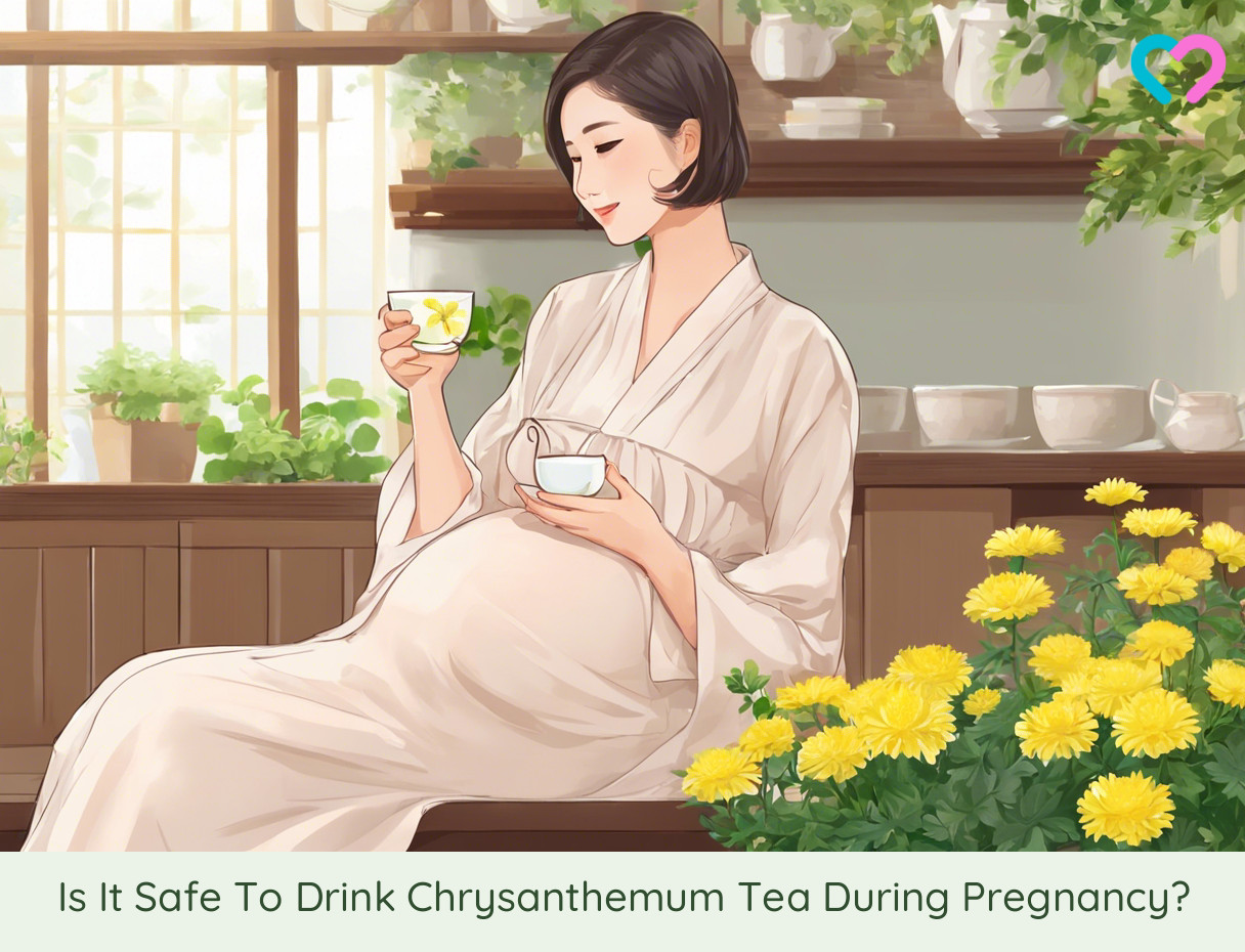 Chrysanthemum Tea During Pregnancy_illustration