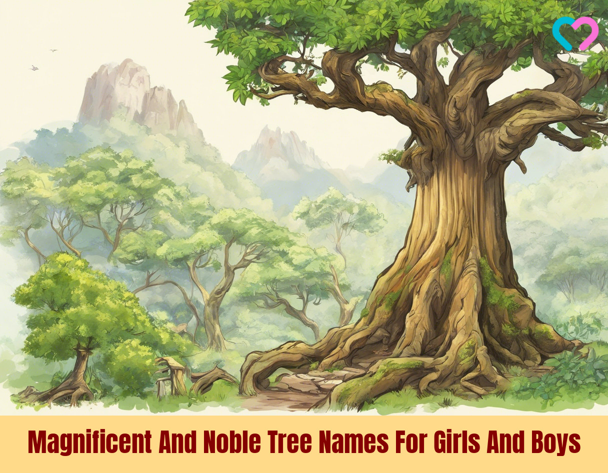 tree baby names for girls and boys_illustration