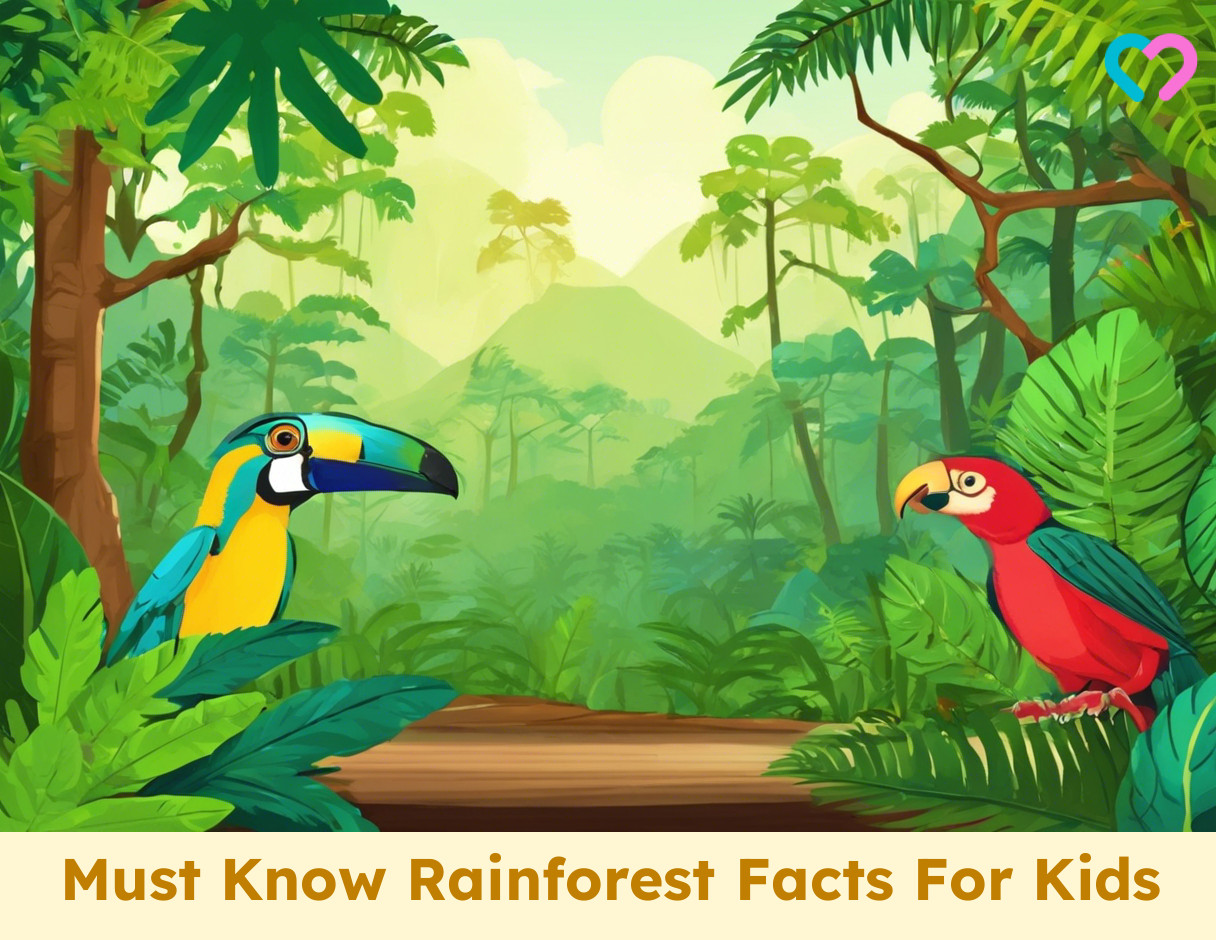 Facts About Rainforest For Kids_illustration