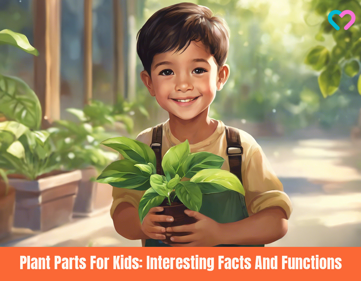 Plant Parts For Kids_illustration