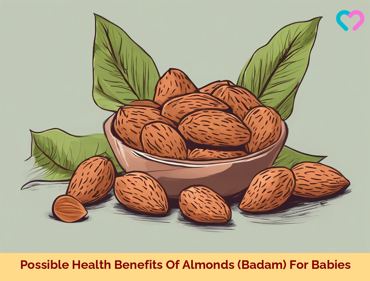Almonds For Babies_illustration