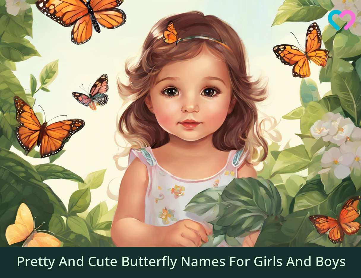 butterfly names_illustration